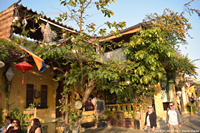 DSC_3837.jpg