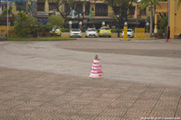 DSC_3900.jpg