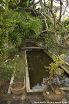 DSC_3931.jpg