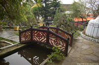 DSC_3933.jpg