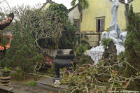 DSC_3937.jpg