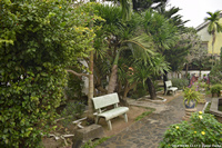 DSC_3940.jpg