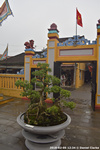 DSC_3966.jpg