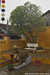 DSC_3979.jpg
