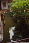 DSC_3983.jpg