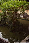 DSC_3985.jpg