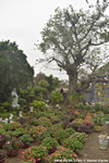 DSC_4014.jpg