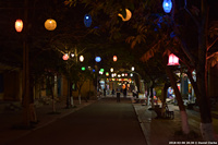 DSC_4325.jpg