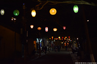 DSC_4328.jpg