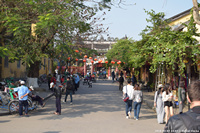 DSC_4506.jpg
