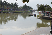 DSC_4508.jpg