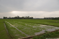 DSC_4019.jpg