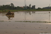 DSC_4025.jpg