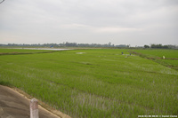 DSC_4037.jpg