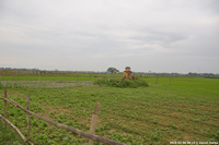 DSC_4041.jpg