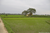 DSC_4043.jpg