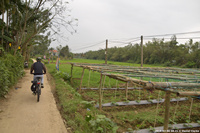 DSC_4046.jpg