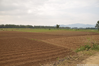 DSC_4064.jpg