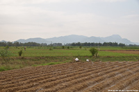 DSC_4066.jpg