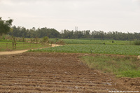 DSC_4068.jpg