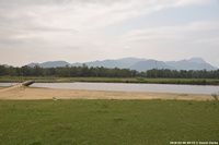 DSC_4077.jpg
