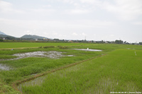 DSC_4086.jpg