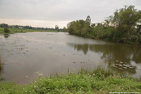 DSC_4087.jpg