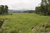 DSC_4097.jpg