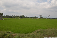 DSC_4103.jpg