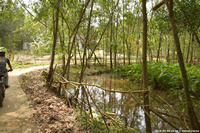 DSC_4114.jpg