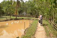 DSC_4115.jpg