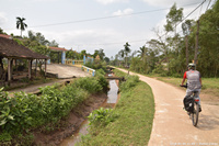 DSC_4117.jpg