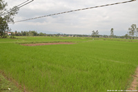 DSC_4119.jpg
