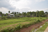 DSC_4120.jpg