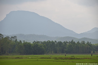 DSC_4125.jpg