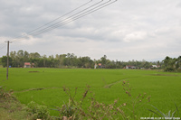 DSC_4127.jpg