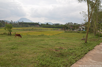 DSC_4131.jpg