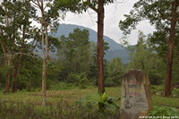 DSC_4146.jpg
