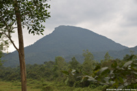DSC_4148.jpg