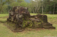 DSC_4165.jpg