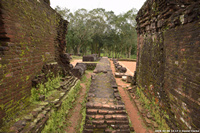 DSC_4173.jpg