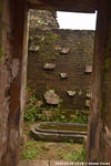 DSC_4176.jpg