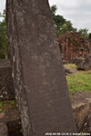 DSC_4179.jpg