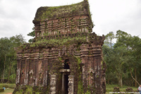 DSC_4182.jpg