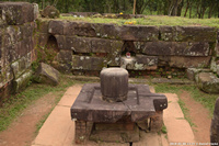 DSC_4184.jpg