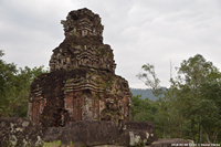 DSC_4186.jpg