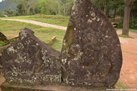 DSC_4199.jpg
