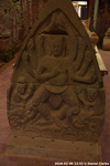 DSC_4206.jpg
