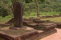 DSC_4216.jpg