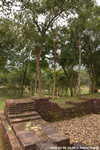 DSC_4220.jpg